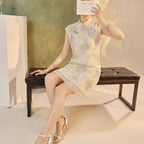 Chinese Style Sleeveless Cheongsam Dress with Lace Sequins and Floral Print