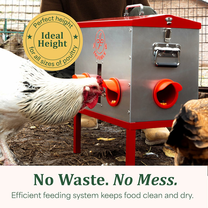 Automatic Chicken Feeder 40lb – Large Metal Poultry Feeder with 6 Ports